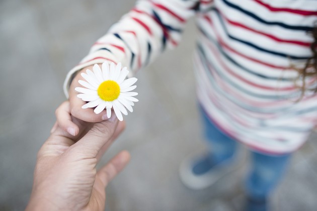 A child handing their parent a daisy.