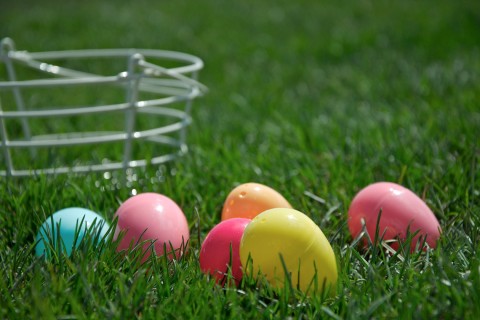 Plastic eggs near a wire basket in the grass.
